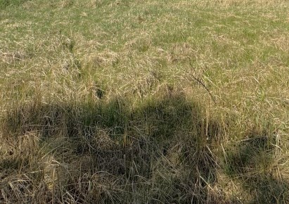 działka na sprzedaż - Toruń, Stawki